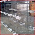 Pigeon Breeding Cage Pigeon Cage Design